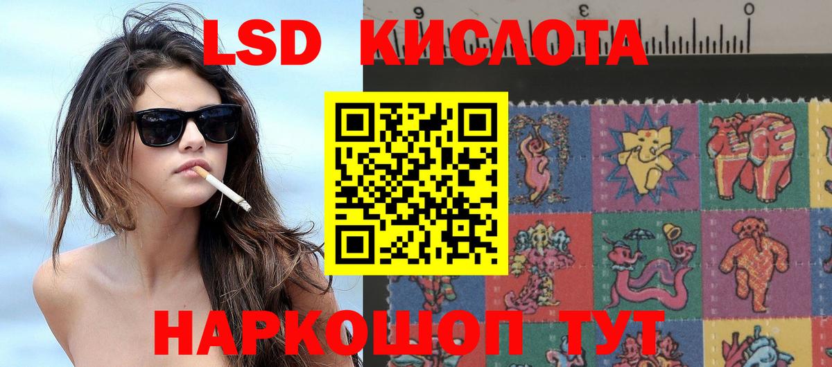 Наркотические марки 1500мкг  Марки N-bome  Новозыбков  Вход с VPN  Наркотические марки 1500мкг 