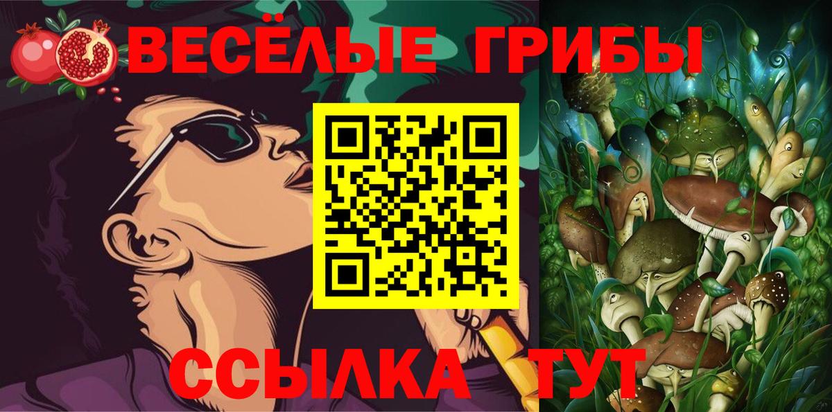 Новозыбков  Галлюциногенные грибы MAGIC MUSHROOMS  Галлюциногенные грибы Magic Shrooms  Вход с VPN 
