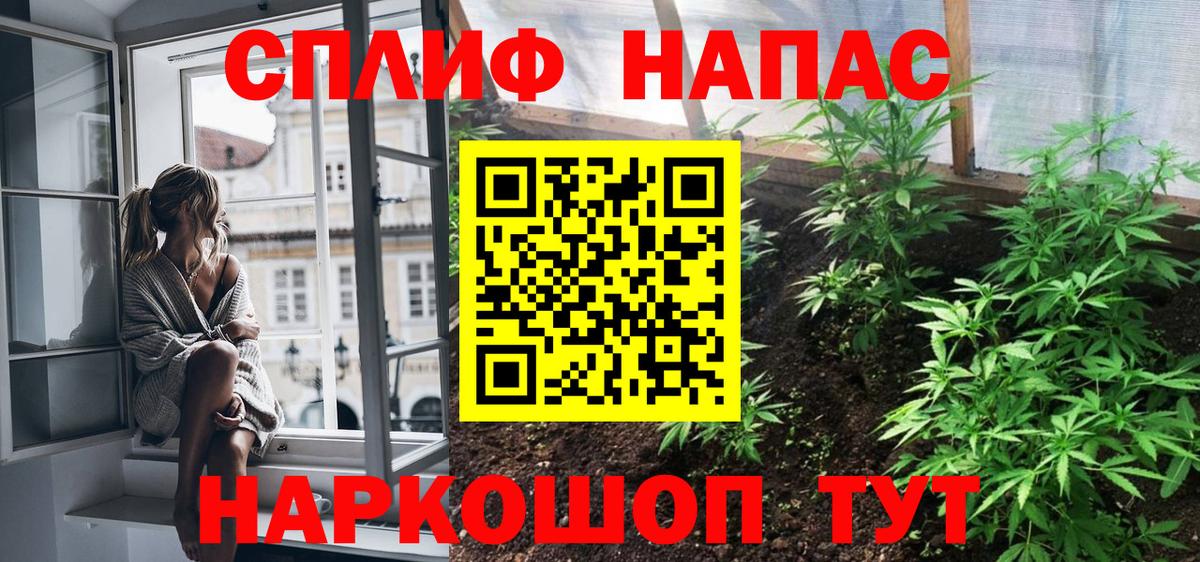 МАРИХУАНА планчик  Бошки марихуана конопля  Вход с VPN  Новозыбков  Шишки марихуана OG Kush 